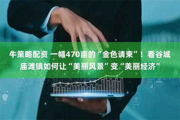 牛策略配资 一幅470亩的“金色请柬”！看谷城庙滩镇如何让“美丽风景”变“美丽经济”