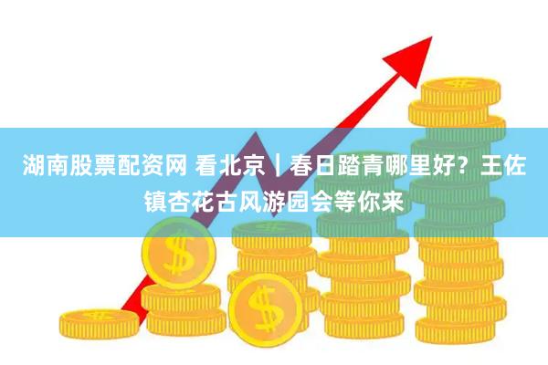湖南股票配资网 看北京｜春日踏青哪里好？王佐镇杏花古风游园会等你来