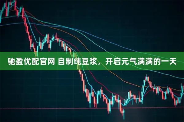 驰盈优配官网 自制纯豆浆，开启元气满满的一天