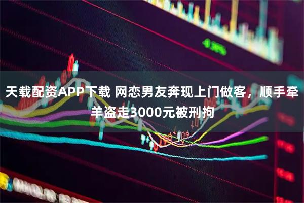 天载配资APP下载 网恋男友奔现上门做客，顺手牵羊盗走3000元被刑拘