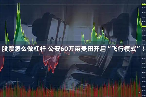 股票怎么做杠杆 公安60万亩麦田开启“飞行模式”！